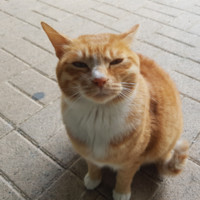 엄성욱