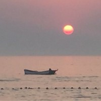 宋智刚