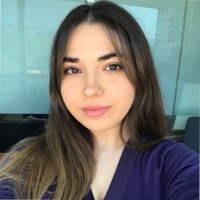 Beste Ceren Arı