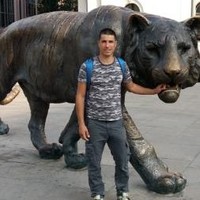 Miroslav Maksimovic