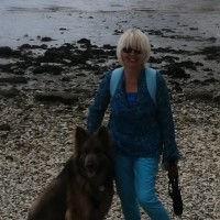 Dianne Lambert