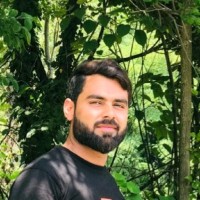 Syed Wasim Hassan Shah
