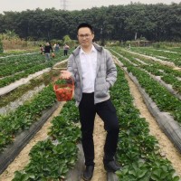 罗林龙