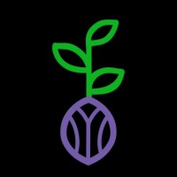Crypto Seeds (RYP)