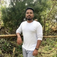 Veeramanikandan Palani