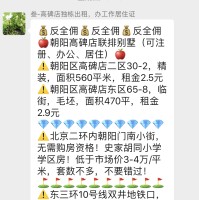 项少龙