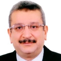 Tamer El-Sobky