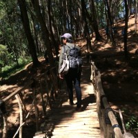 Achmad Fajar