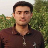 Saman Salim