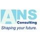 ANS Consulting