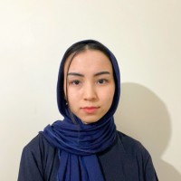 Maryam Ahmadi