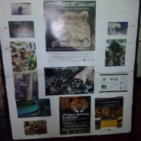 María Angélica Plascencia Villanueva