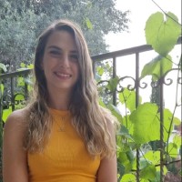 Adi Pri-Tal