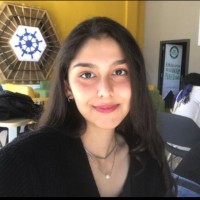 Ayşenur Demirkapan