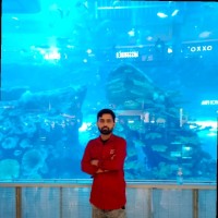 Syed Hasan Raza
