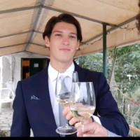 Guido Segurini