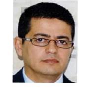 Amjad A. Hafez