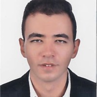 Ahmed Hesham
