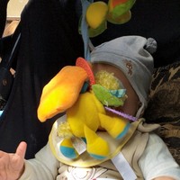 وليدمحي الواحي