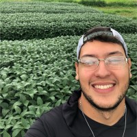 Hugo Ricardo Fernandes