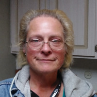 Lisa Perisian