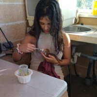 Estephany Mia Hidalgo Rondona