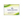 AMBE OVERSEAS
