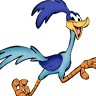 The Roadrunner