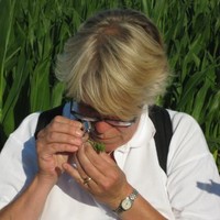 Anne van der Linden
