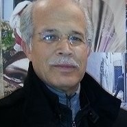 Fathi Aidi