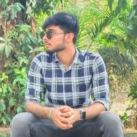 Himanshu Kumar Ray