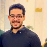Mohamed Mohsen