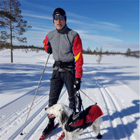 Øivind Alnes