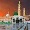 Shahid Mehmood