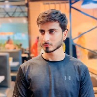 Hamza Hussain
