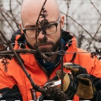 Marco Tessari