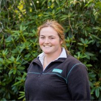 Isla Pringle