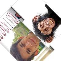 Nikolaos Papastaikoudis