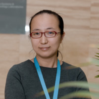 Li Cao