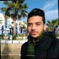Laouiti Amer