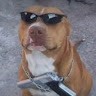 (E)Carlos Efren Arce Fernandez