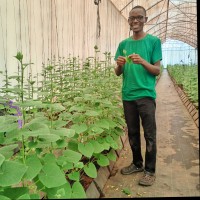 Jeffrey Zulu
