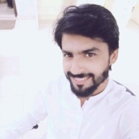 Malik Ali Zer Awan