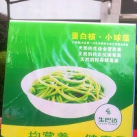 马东明