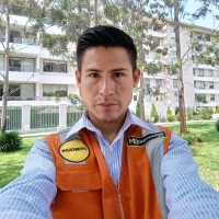 Mijael David Del Valle Primo