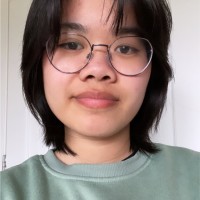 Mi Nguyen