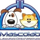 Danny CHINCHILLA CARDENAS