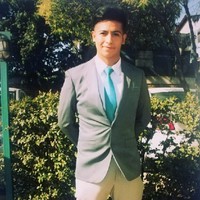 Manuel Alejandro Vargas Levín