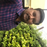 Vijayanand Anand