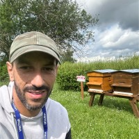 Frédéric Ballatore